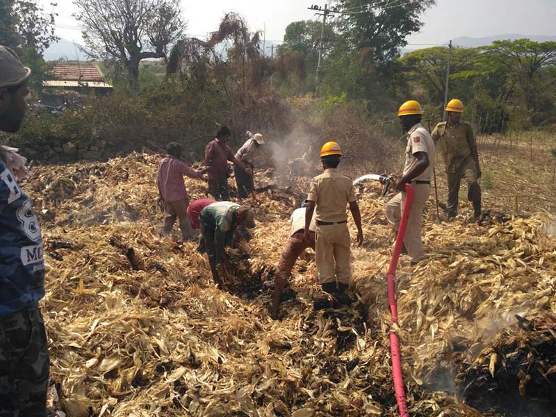 ಹನೂರು: ಜೋಳದ ಕಡ್ಡಿಯ ಮೆದೆಗೆ ಬೆಂಕಿ; ಅಪಾರ ನಷ್ಟ